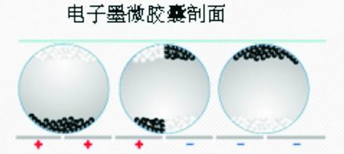 基于PXA270的电子纸显示系统