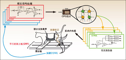 一個(gè)模擬信號(hào)處理器芯片