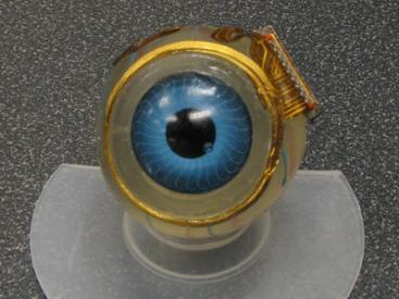 美科学家研制植入型电子眼已进入原型机试用阶段