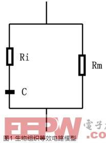 人體成分測(cè)量裝置的設(shè)計(jì)