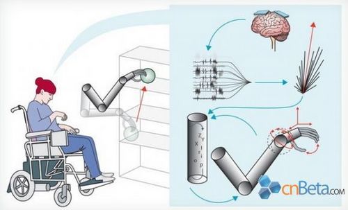 意識(shí)控制機(jī)械手臂技術(shù)獲得突破性進(jìn)展