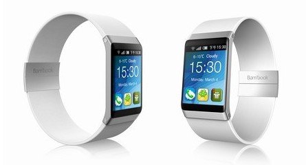 盛大果壳电子酝酿推智能手表 预计6月正式上市
