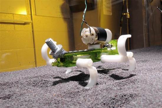 科学家设计6腿蜥蜴机器人有望未来勘测火星
