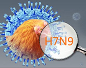 Ti25红外热像仪助力排查H7N9禽流感