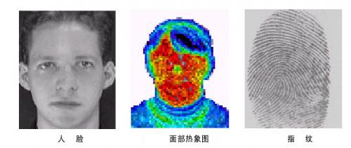 指纹识别中的图像处理研究------背景与基础名词解释（二）