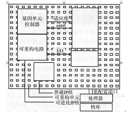 图 1 FPGA 中的 可进化ip核和 普通 ip核