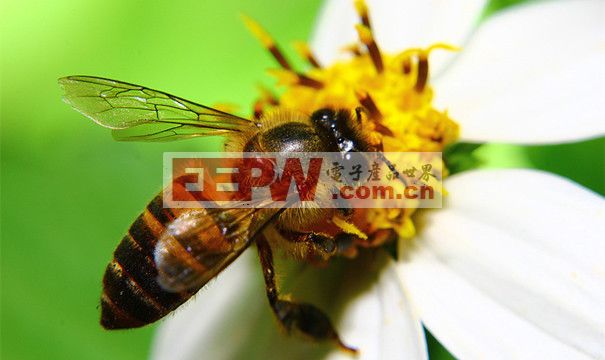 Zig Bee协议栈- -一种由蜜蜂引发的通信技术