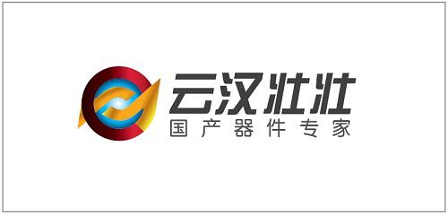 云汉壮壮：推动电子器件国产化，实现电子工业强国梦