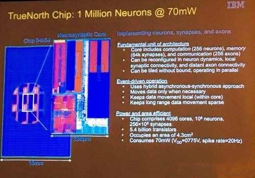 IBM公開神經(jīng)型態(tài)芯片 著眼類人腦電腦計劃