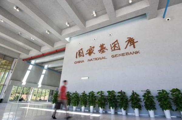 中国首个国家基因库正式对外运营：是全球最大基因库