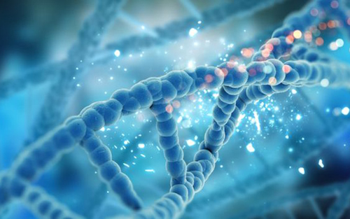 基因测序技术发展迅速 已成为精准医疗基础