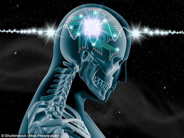科学家研制新型大脑芯片使人们成为记忆超人