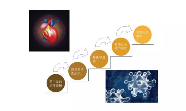 深度解析生物醫(yī)療3D打印公司研究方向與未來(lái)趨勢(shì)