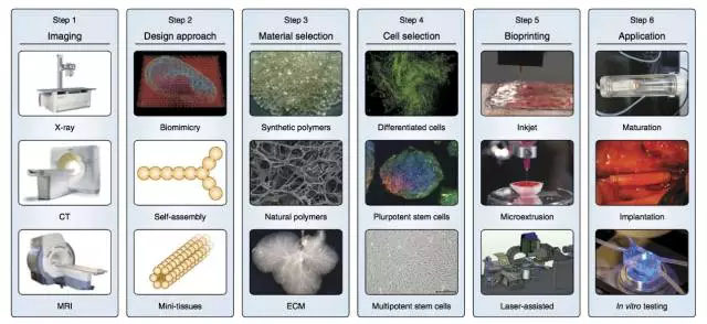 深度解析生物醫(yī)療3D打印公司研究方向與未來趨勢