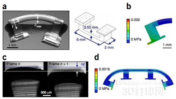 伊利诺伊大学分享3D打印生物机器人制作指南