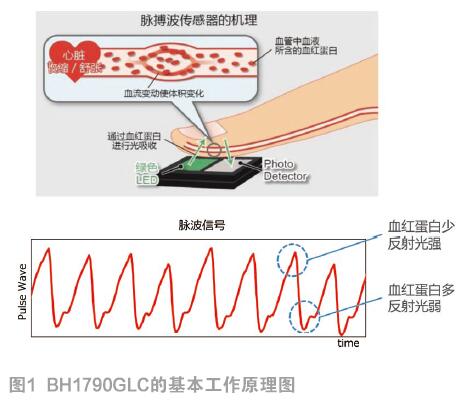 ROHM新型脈搏傳感器助可穿戴設(shè)備再度升級(jí)