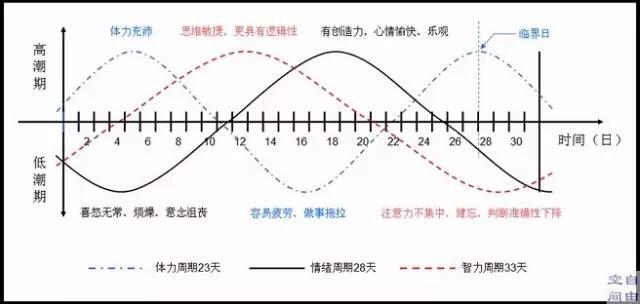 編程