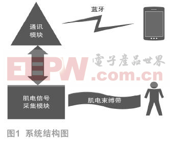 基于肌电感应的可穿戴运动分析系统设计与实现　