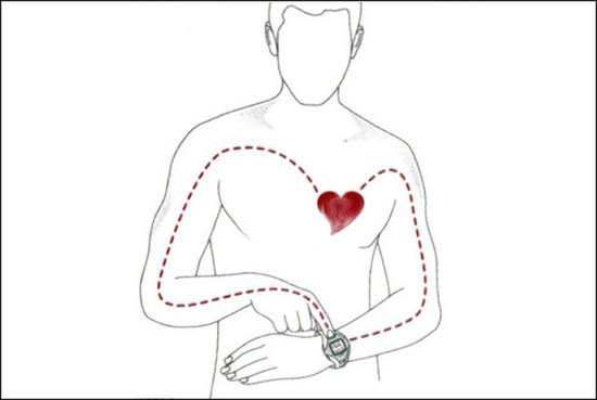 小编告诉你智能手环有几种方式监测人体心率