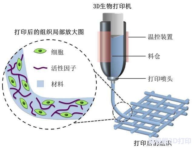 3D打印技術(shù)在生物醫(yī)用材料產(chǎn)業(yè)應(yīng)用展望