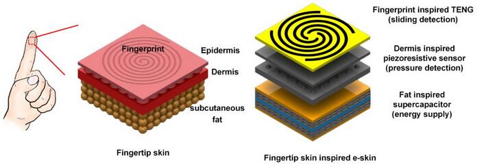北京大学在多功能电子皮肤研究中取得重要进展