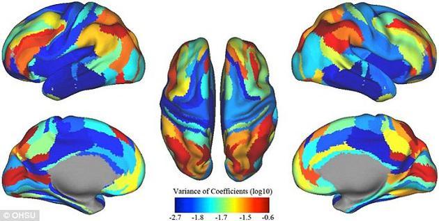 生物识别新进展：大脑“功能指纹”，还将用于精神治疗