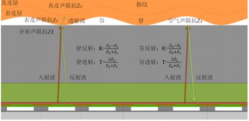 光学指纹识别让思立微成为 “屏下”焦点