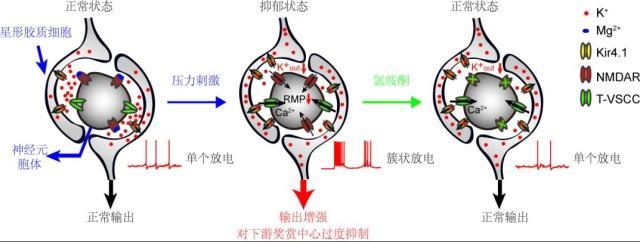 2018年度中國科學(xué)十大進(jìn)展正式發(fā)布！