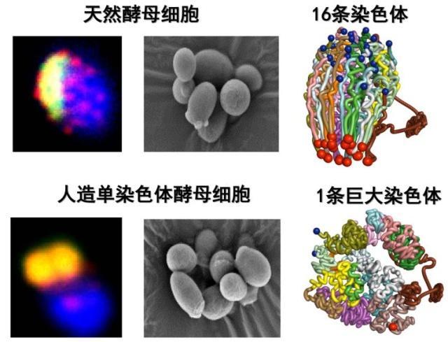 2018年度中國科學(xué)十大進展正式發(fā)布！