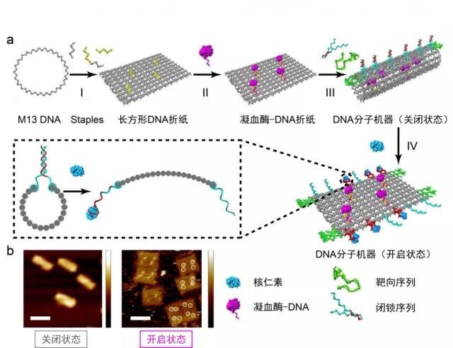 2018年度中國科學(xué)十大進(jìn)展正式發(fā)布！