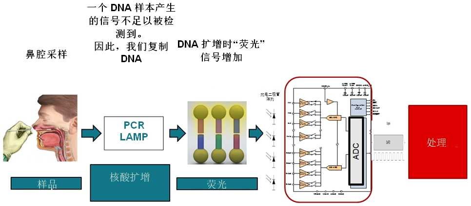 利用分子檢測技術(shù)幫助醫(yī)生更快、更準(zhǔn)確地進(jìn)行患者診斷