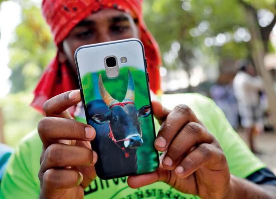 ▲在印度南部的泰米尔纳德邦马杜赖附近村庄，一名参加驯牛节活动的男子使用手机壳上印有牛头的手机。