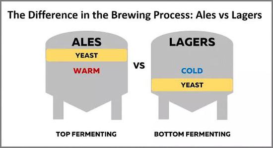 工业啤酒和精酿啤酒：发酵工艺的区别