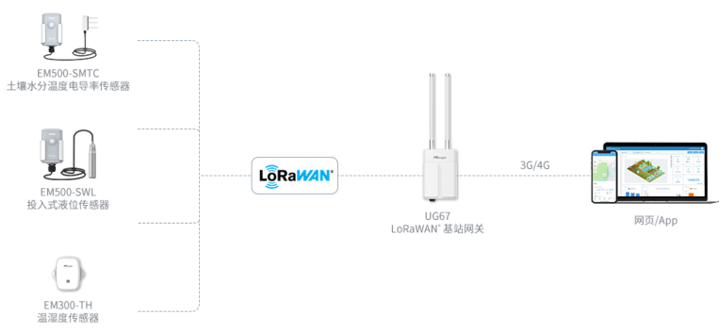 星纵LoRaWAN森林环境监测，高效分析树木生长情况