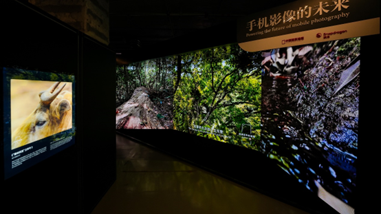 骁龙连续四年携手中国国家地理，用科技赋能生态保护