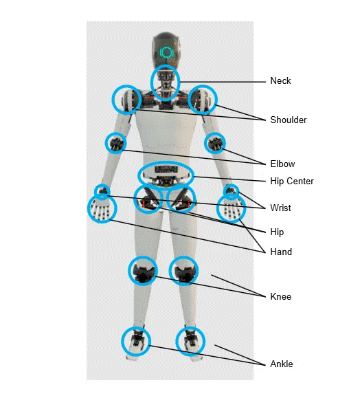 人形機(jī)器人中的電機(jī)控制