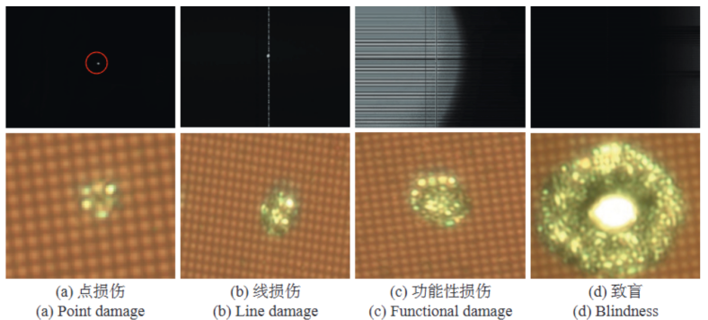 image.gif