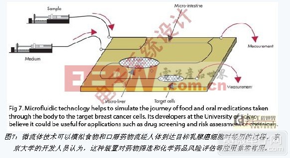 微流体技术可以模拟食物和口服药物流经人体到达目标乳腺癌细胞时经历的过程