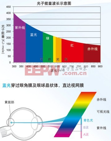 光子能量以及不同波長(zhǎng)的光穿透視網(wǎng)膜的情況