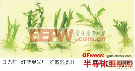 基于LED的植物組培光源系統(tǒng)的設(shè)計(jì)與實(shí)現(xiàn)