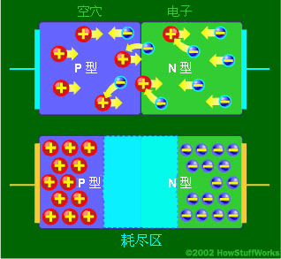 在PN结(junction)内，N型材料中的自由电子填充了P型材料中的空穴。这样，在二极管的中间就产生了一个绝缘层，称为耗尽区。