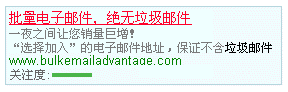 2003年8月出现在Google上的付费广告