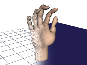 为线框添加表面，即可将图像由一个数学模型转变成一幅图，我们可以认出这幅图画的是一只手。