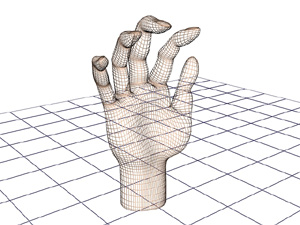 若要创建更精细的模型，您需要添加更多的多边形。这只手由3,444个多边形组成。