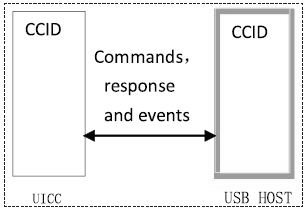 图6 使用CCID协议的架构图 