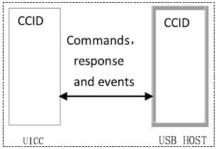 图6 使用CCID协议的架构图