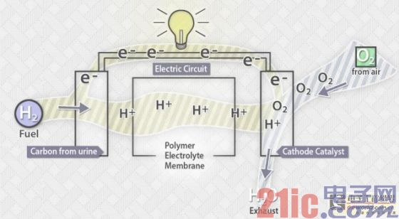 在阳极上，一种通常是铂的催化剂把氢原子的电子分离出来，留下带正电荷的氢离子和自由电子。阳极和阴极之间的一张膜只允许氢离子通过。这意味着电子只有沿着外电路移动，继而产生电流。