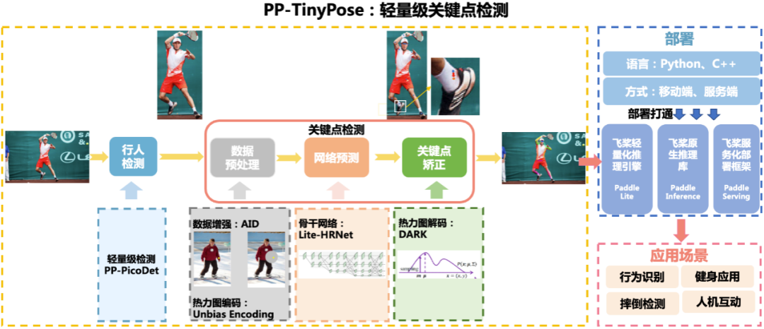 PP-TinyPose人体关键点识别