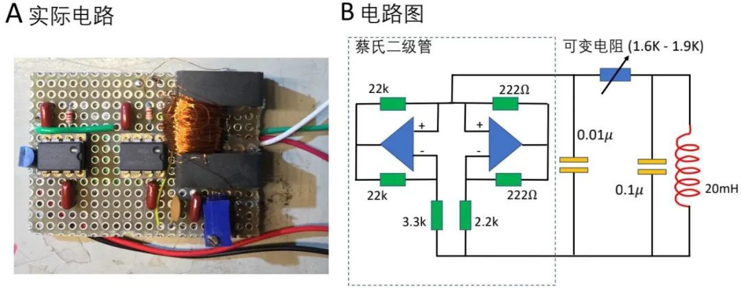 搭了個蔡氏電路，體驗一下“狐貍精”