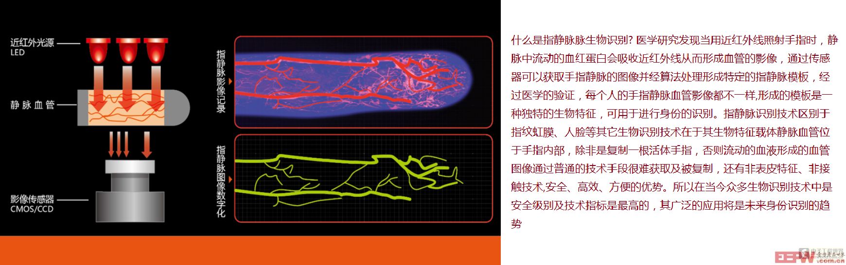 还原血红素会吸收近红外线,因此当近红外线照射到手指时,只有静脉部分